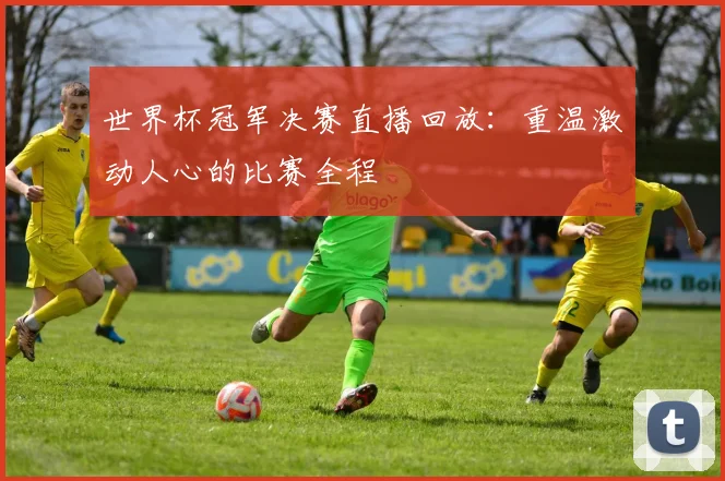 世界杯冠军决赛直播回放：重温激动人心的比赛全程