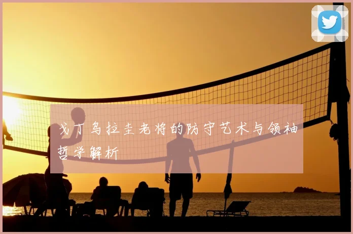 戈丁乌拉圭老将的防守艺术与领袖哲学解析