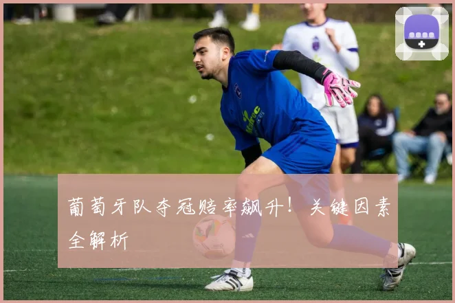 葡萄牙队夺冠赔率飙升!关键因素全解析